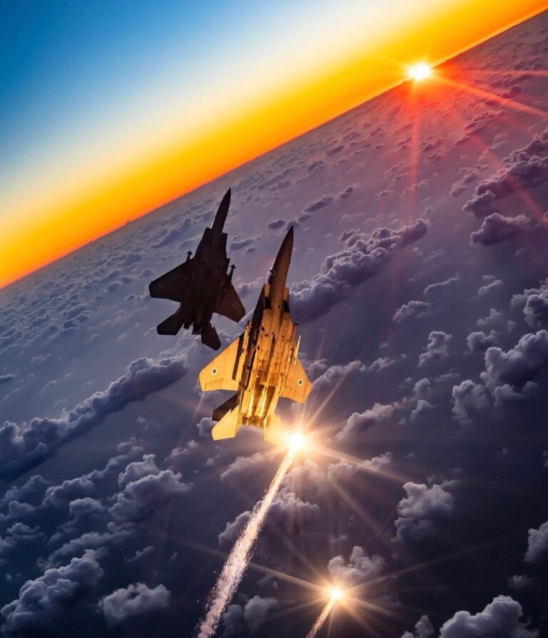 1000548036