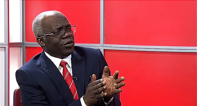 Femi-Falana-protesters